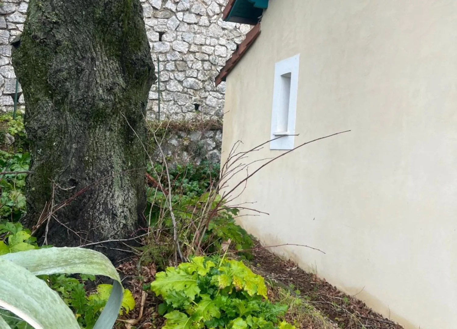 Maison Vue Mer Proche Monaco La Turbie 0*,
